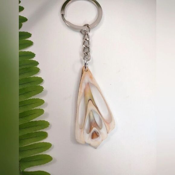 Seashell Keyring Slice Conch Seashell Clearwater Beach, Florida - Picture 7 of 11